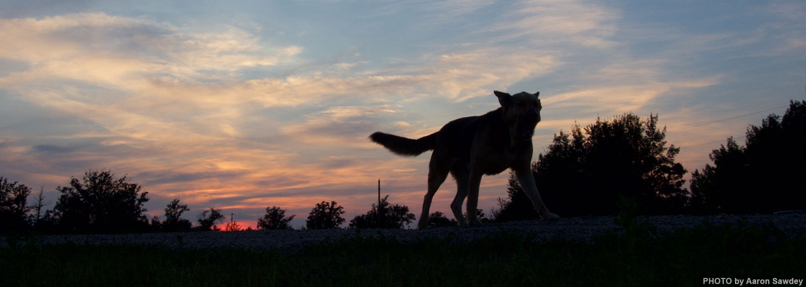 red-lake-rosie-sunset